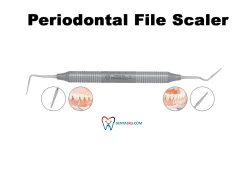 Scaler Periodontal File Scaler
